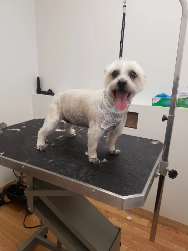 Tails-a-wag'n, North Bergen, New Jersey