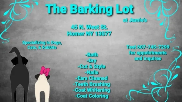 The Bark Site Grooming Spa, Cliffside Park, New Jersey