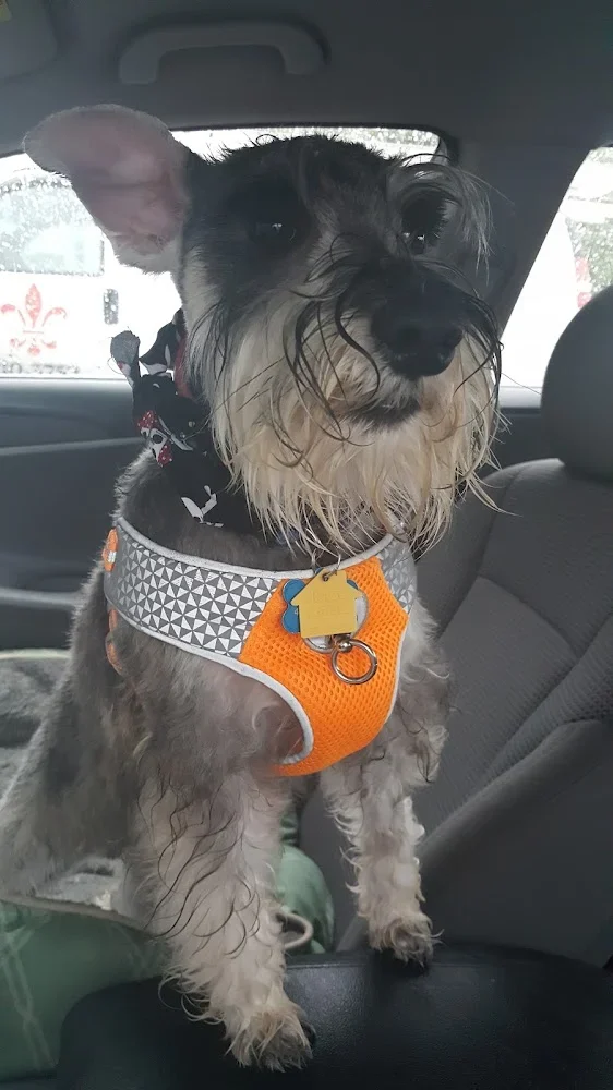 The Grooming Gals, Cincinnati, Ohio