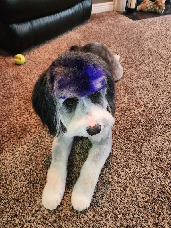 The Groom Room, Kingsley, Kentucky