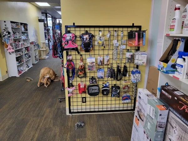 The Pampered Tail, Martins Ferry, Ohio