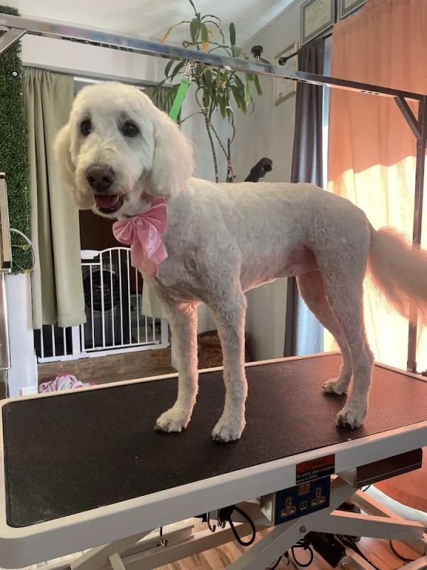 The Pawsmetologist LLC, West Valley City, Utah