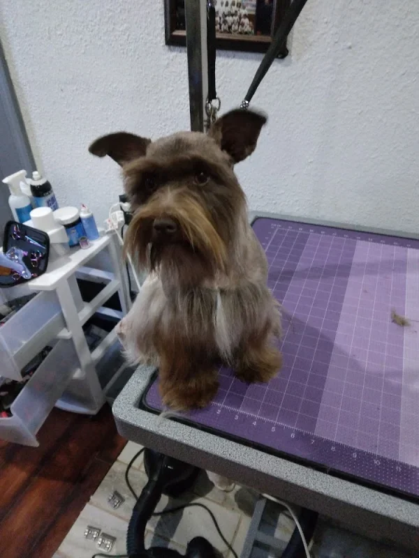 The Pet Pawlor, LLC, Lindsay, Oklahoma