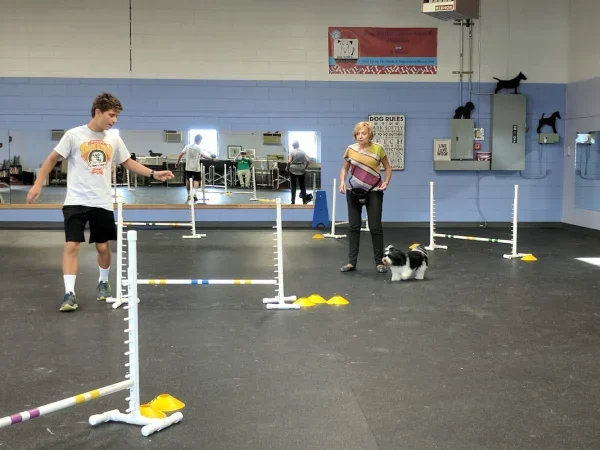 Total Pet Care, Holbrook, New York